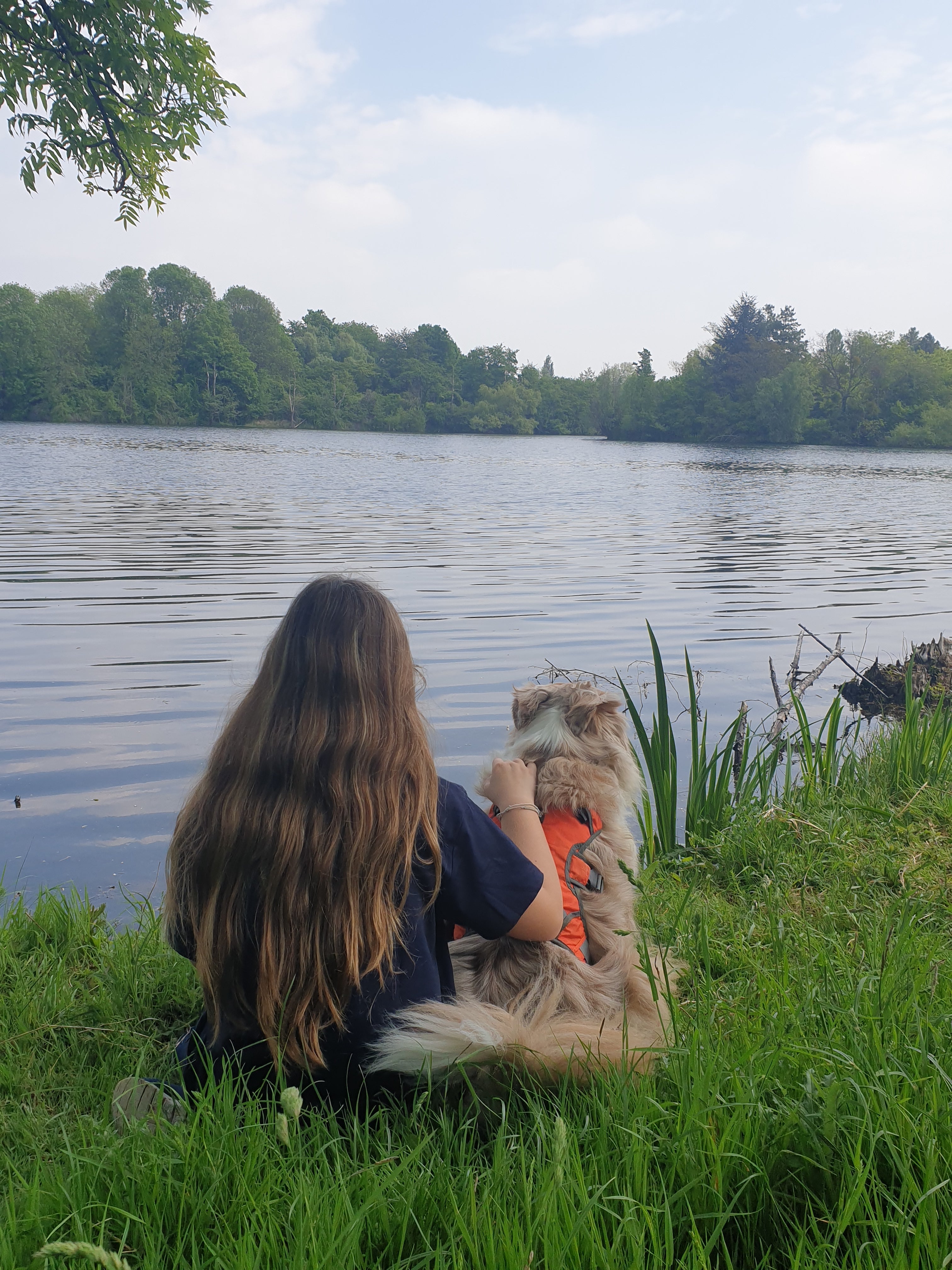 Pourquoi le chien est-il devenu un membre à part entière dans la famille?