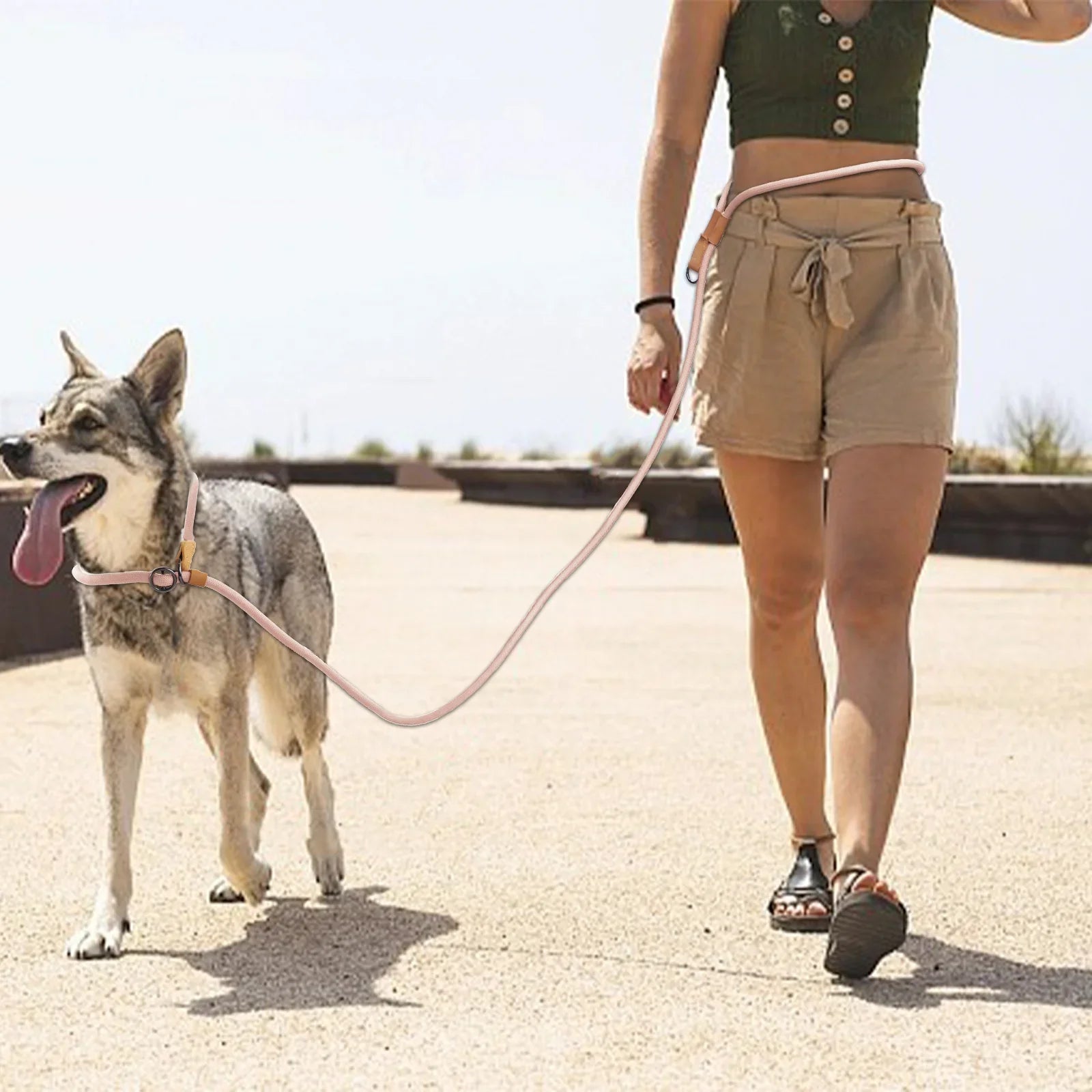 La révolution de la promenade : Pourquoi passer à la laisse mains libres ?