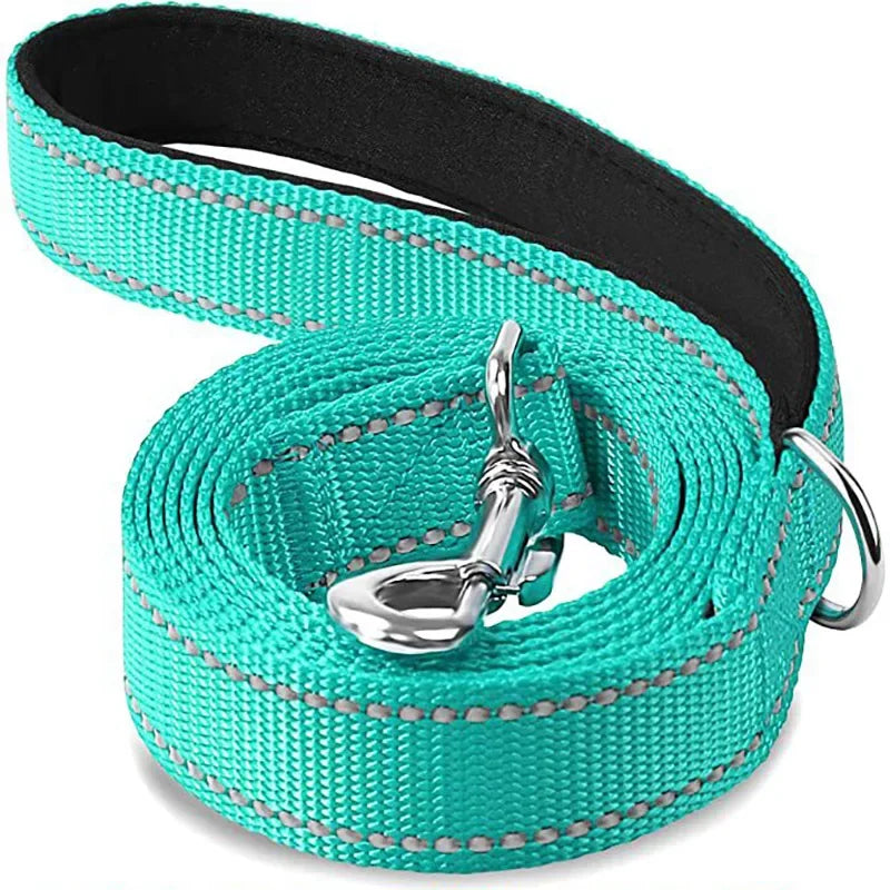 Laisse en nylon reflechissante turquoise