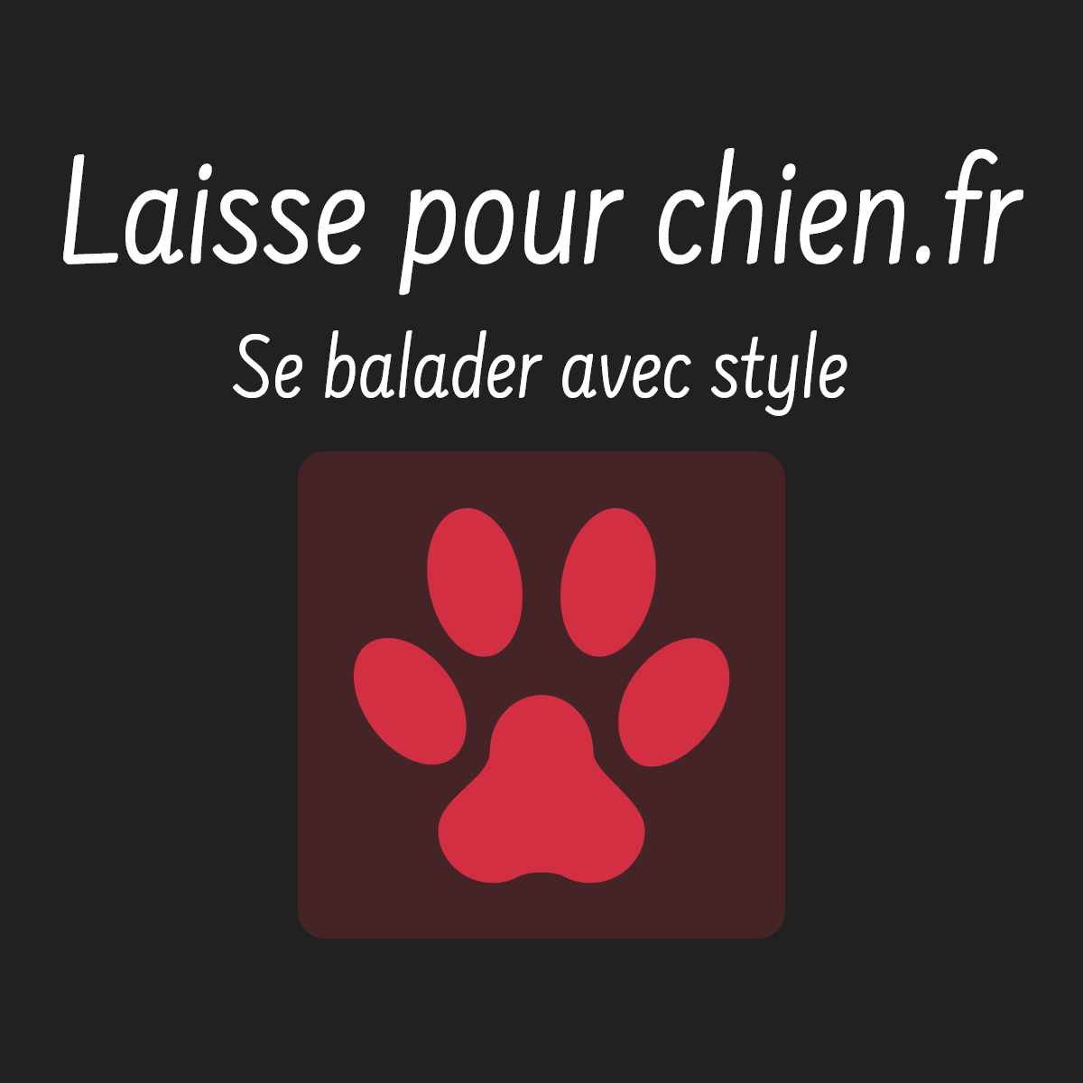 laisse pour chien. fr