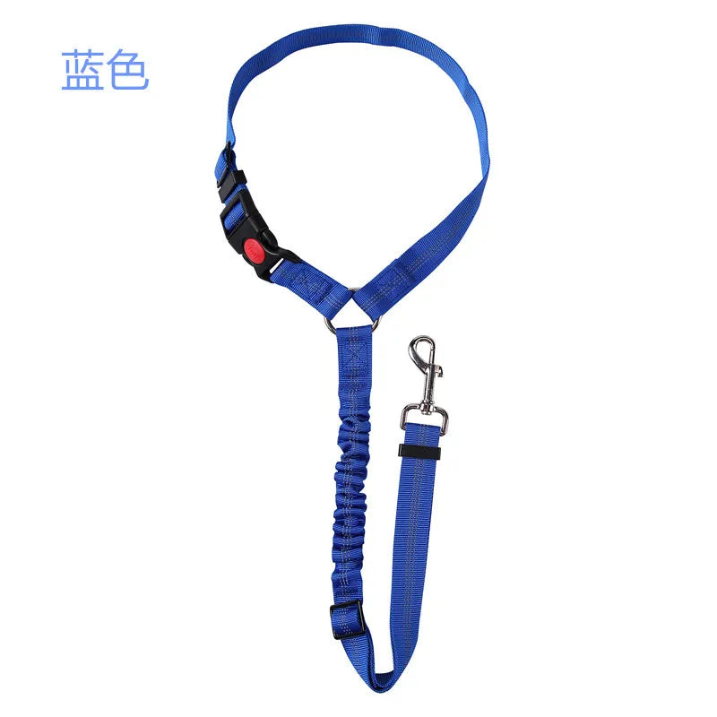 ceinture securite elastique bleu