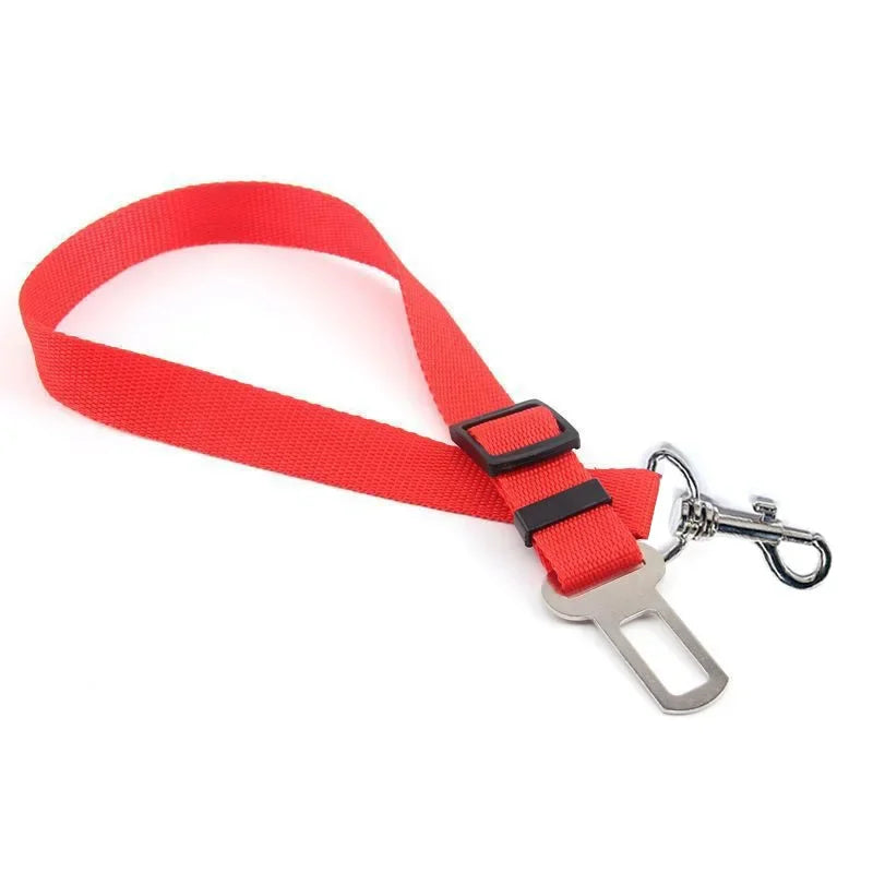ceintures de securite rouge