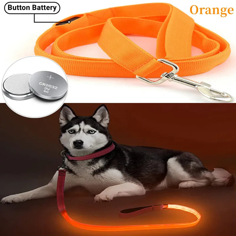 collier et laisse nylon lumineux pile orange