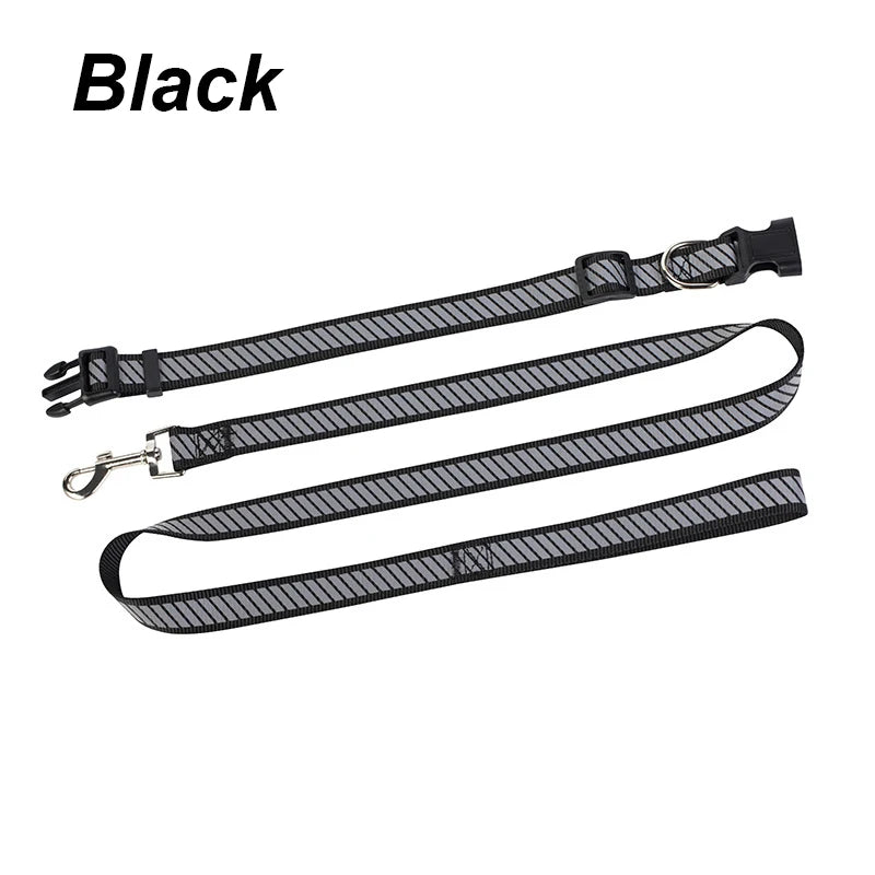 collier et laisse nylon reflechissante noir