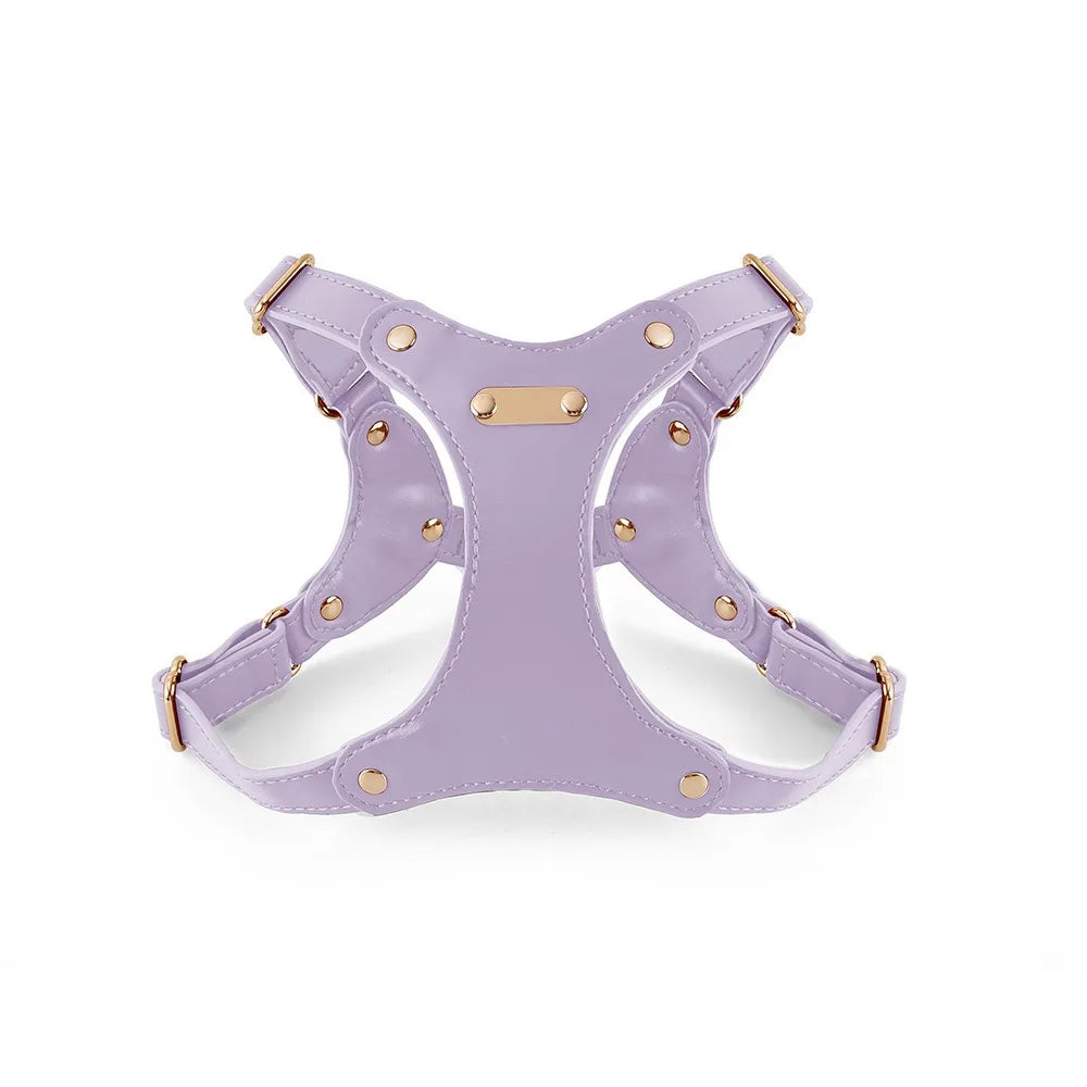 harnais en cuir violet