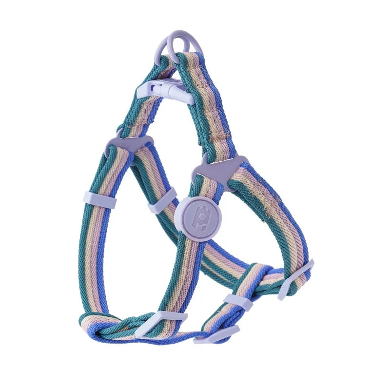 harnais nylon bleu