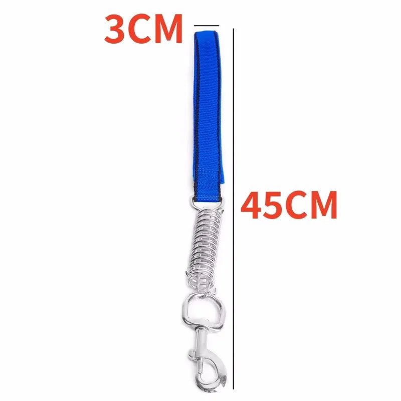 laisse courte nylon amortisseur bleu 3cm
