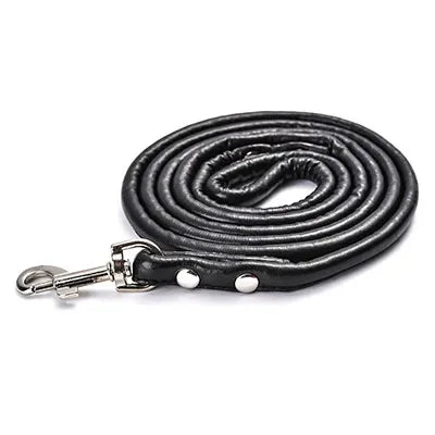 laisse en cuir petit chien 1,20m noir