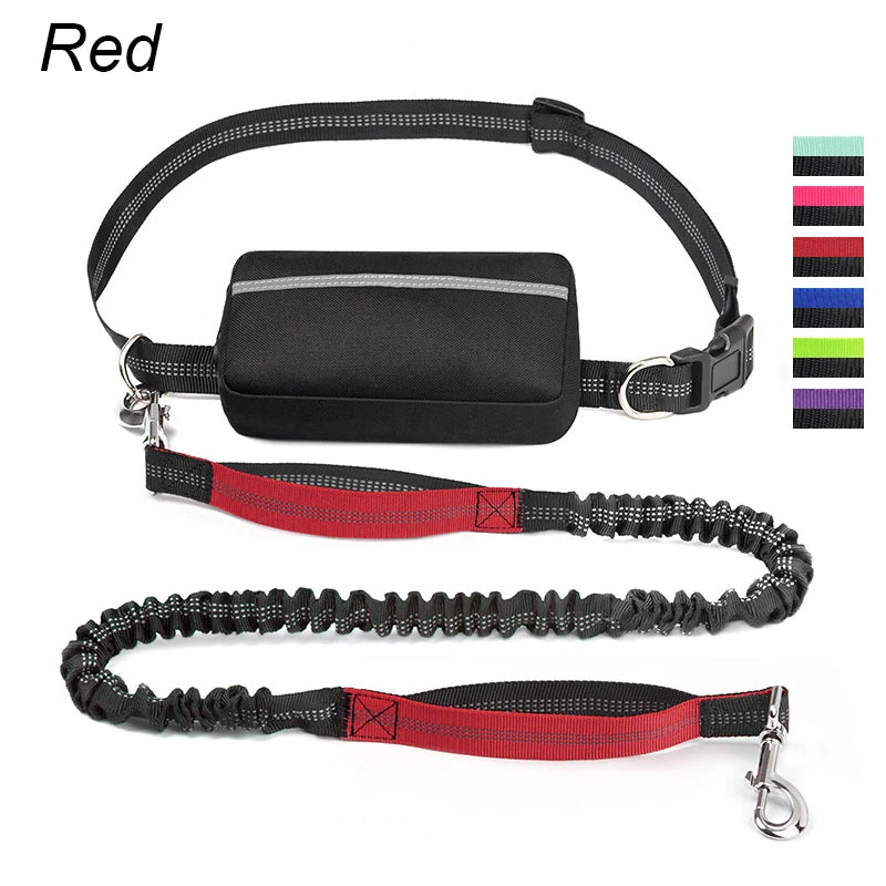 laisse mains libres elastique nylon double poignee avec sacoche rouge