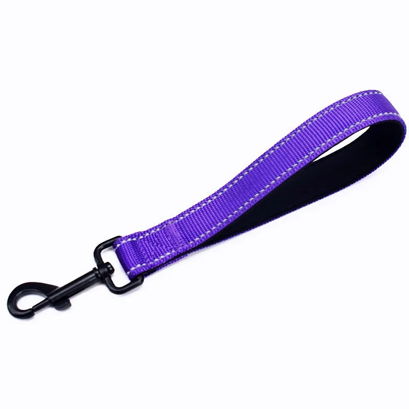 laisse nylon courte violet