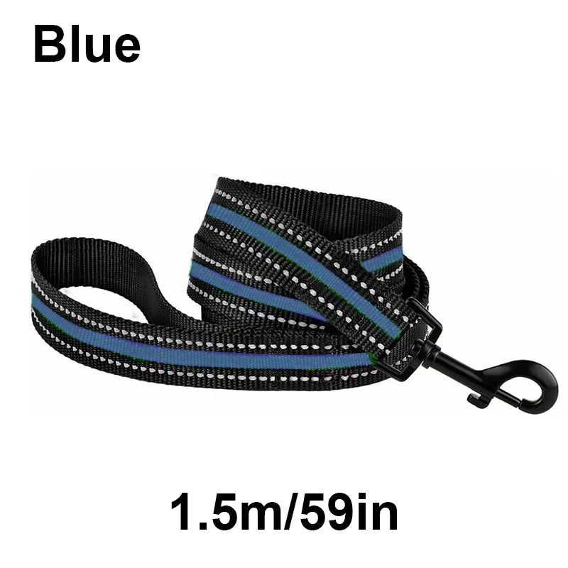 laisse nylon reflechissante bleu