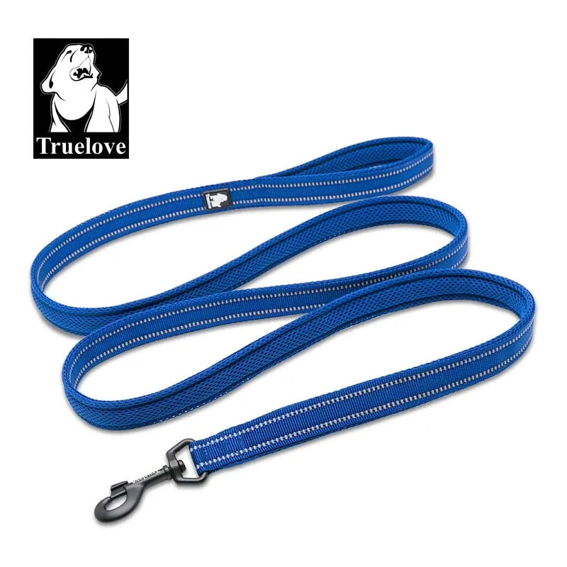 laisse nylon reflechissante couleur bleu fonce