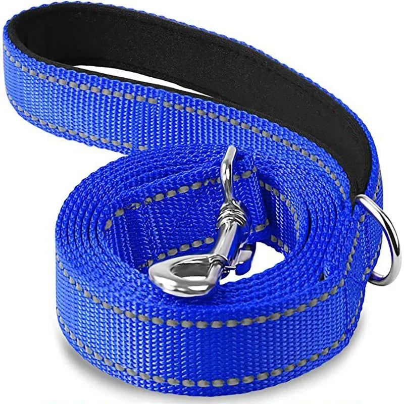 laisse reflechissante nylon couleur bleu