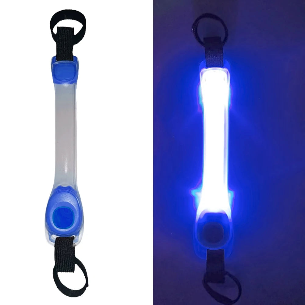 rajout lumineux sur laisse bleu