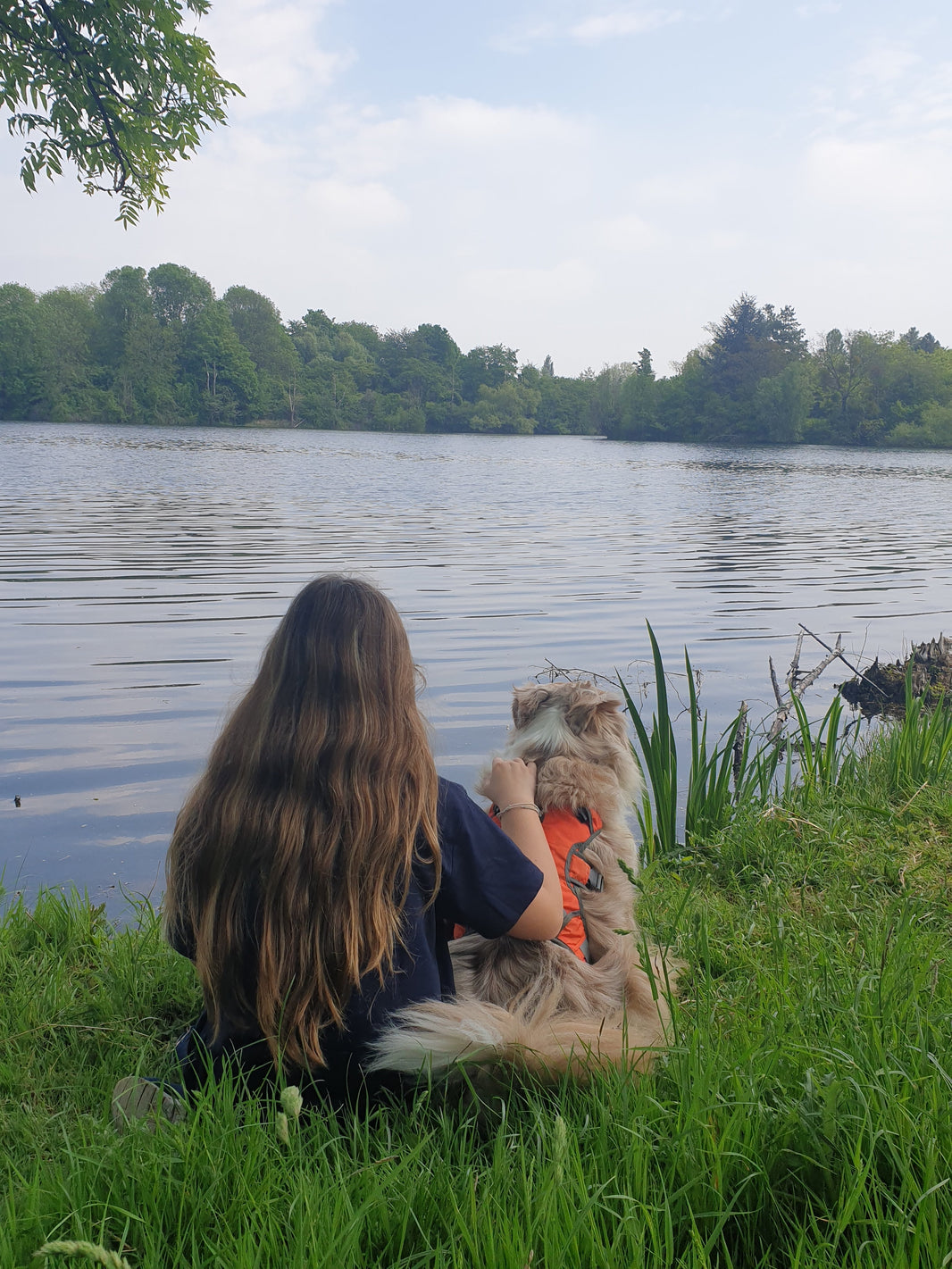 Pourquoi le chien est-il devenu un membre à part entière dans la famille?