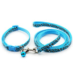 collier et laisse pour petit chien - Vignette | laisse pour chien. fr