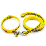 collier et laisse pour petit chien - Vignette | laisse pour chien. fr