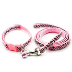 collier et laisse pour petit chien - Vignette | laisse pour chien. fr