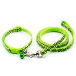 collier et laisse pour petit chien - Vignette | laisse pour chien. fr