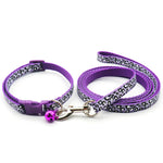 collier et laisse pour petit chien - Vignette | laisse pour chien. fr