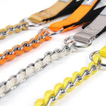 collier et laisse chaine pour chien - Vignette | laisse pour chien. fr