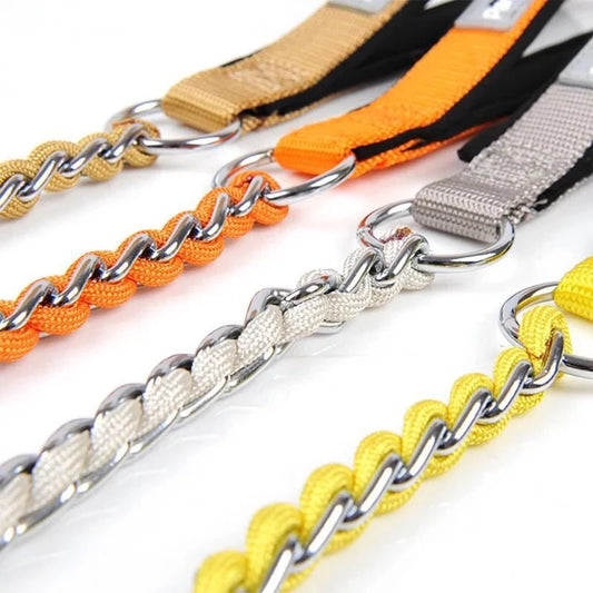 Collier lasso et laisse chaine