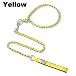 collier et laisse chaine pour chien - Vignette | laisse pour chien. fr