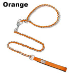 collier et laisse chaine pour chien - Vignette | laisse pour chien. fr