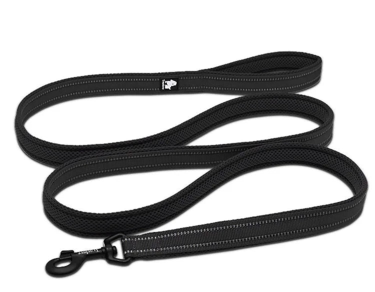 laisse nylon reflechissante couleur noir