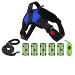 Laisse et harnais avec distributeur de sac - Vignette | laisse pour chien. fr