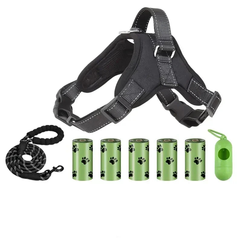 Laisse avec distributeur de sac et harnais noir