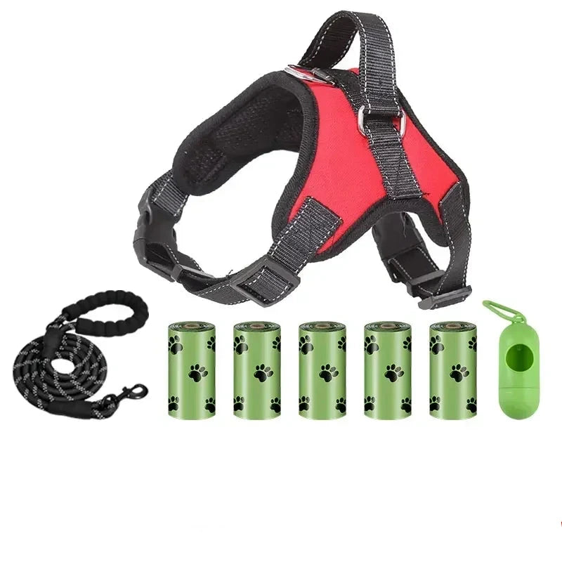 Laisse avec distributeur de sac et harnais rouge