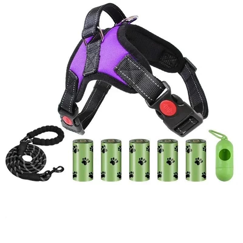 Laisse avec distributeur de sac et harnais violet