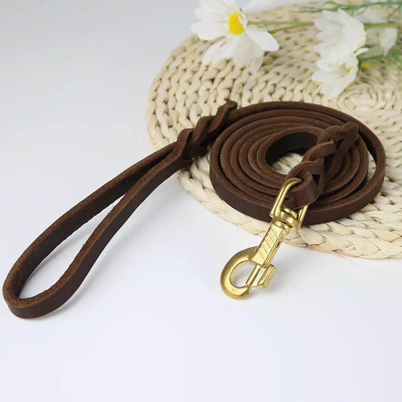 Laisse en cuir robuste pour grand chien marron et or