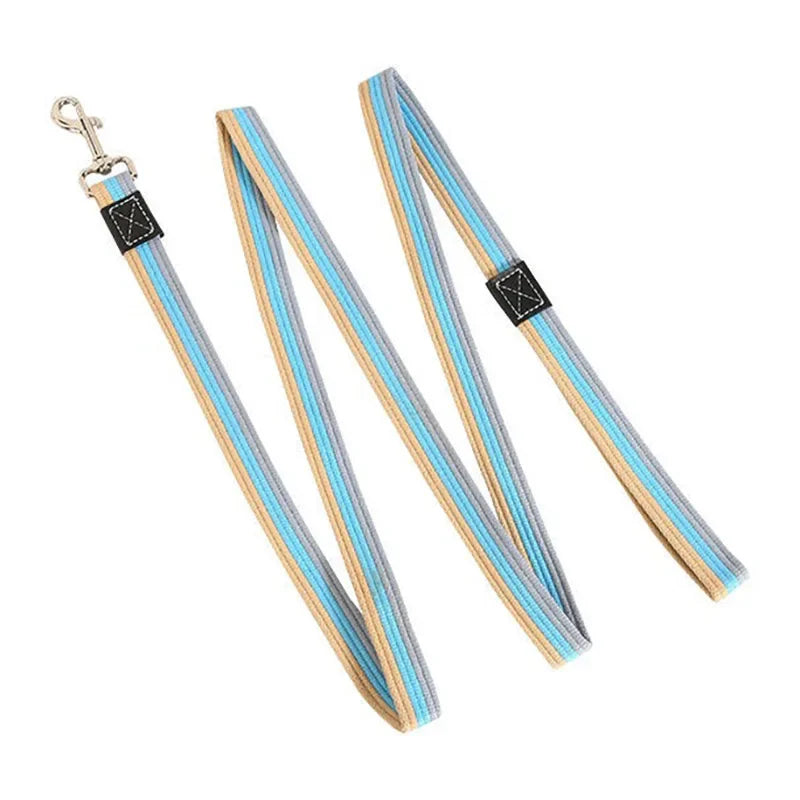 Laisse en nylon motif bande 2 m bleu