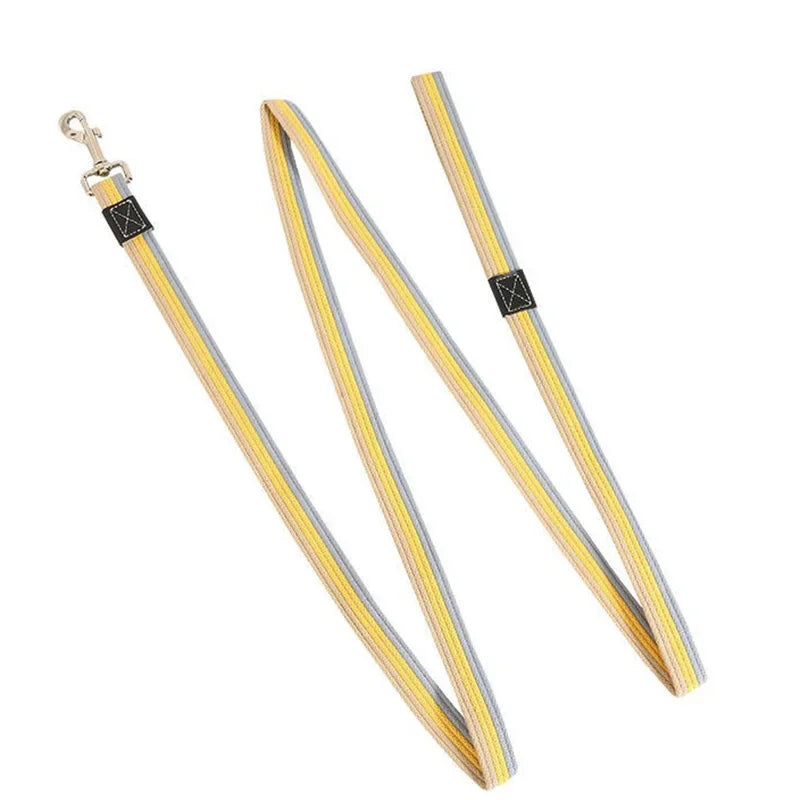 Laisse en nylon motif bande 2 m jaune