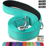 laisse pour chien nylon réfléchissante - Vignette | laisse pour chien. fr
