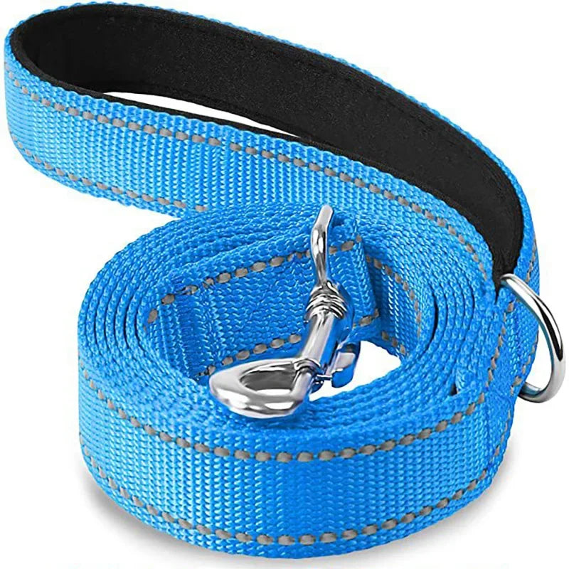 Laisse en nylon reflechissante bleu ciel