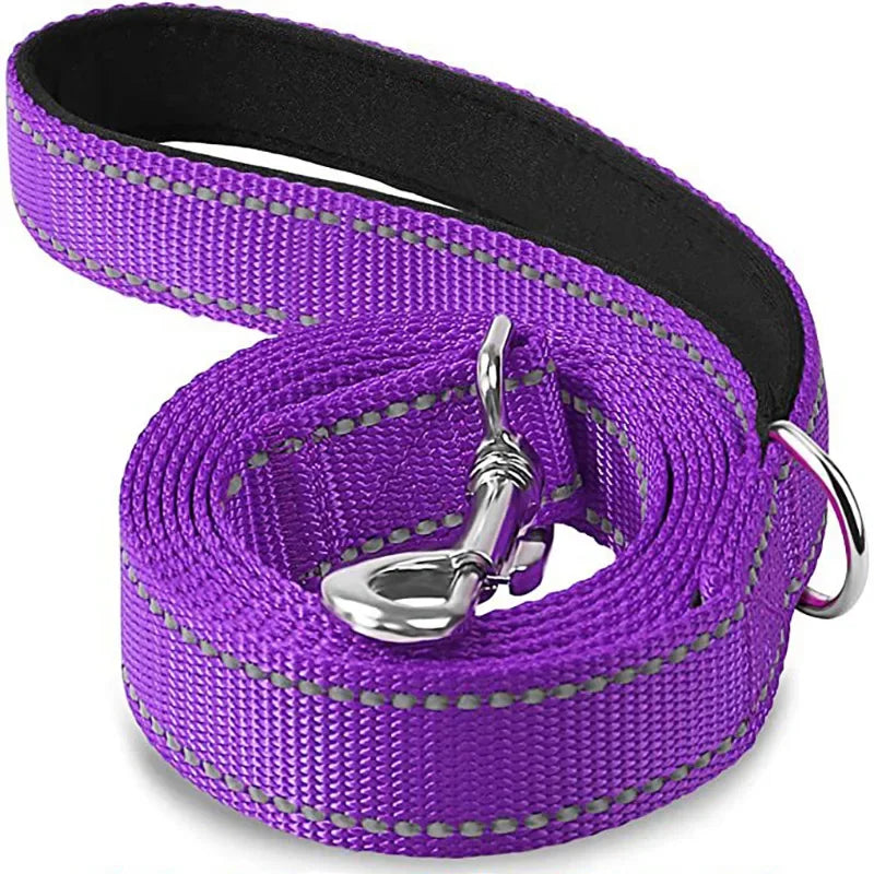 Laisse en nylon reflechissante violet
