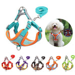 Laisse et Harnais de poitrine - Vignette | laisse pour chien. fr