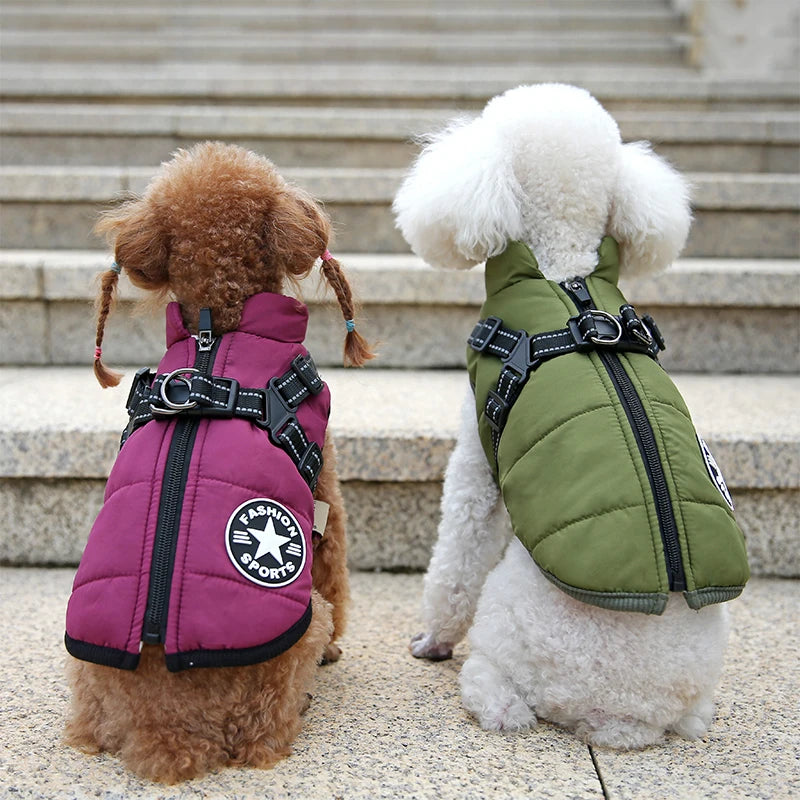 Manteau chaude imperméable pour chiens