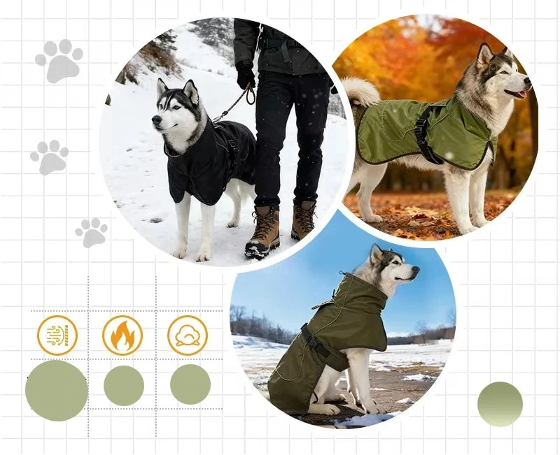 Manteau imperméable pour chien nature