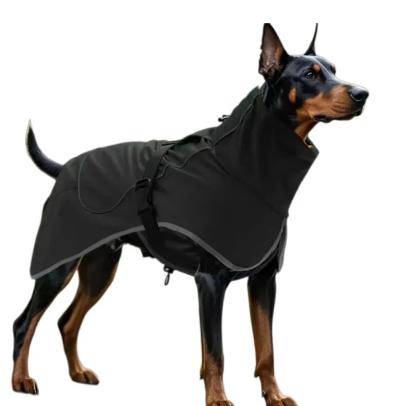 Manteau imperméable pour chien 
