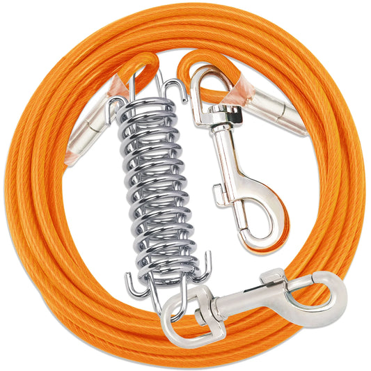 laisse cable pour chien