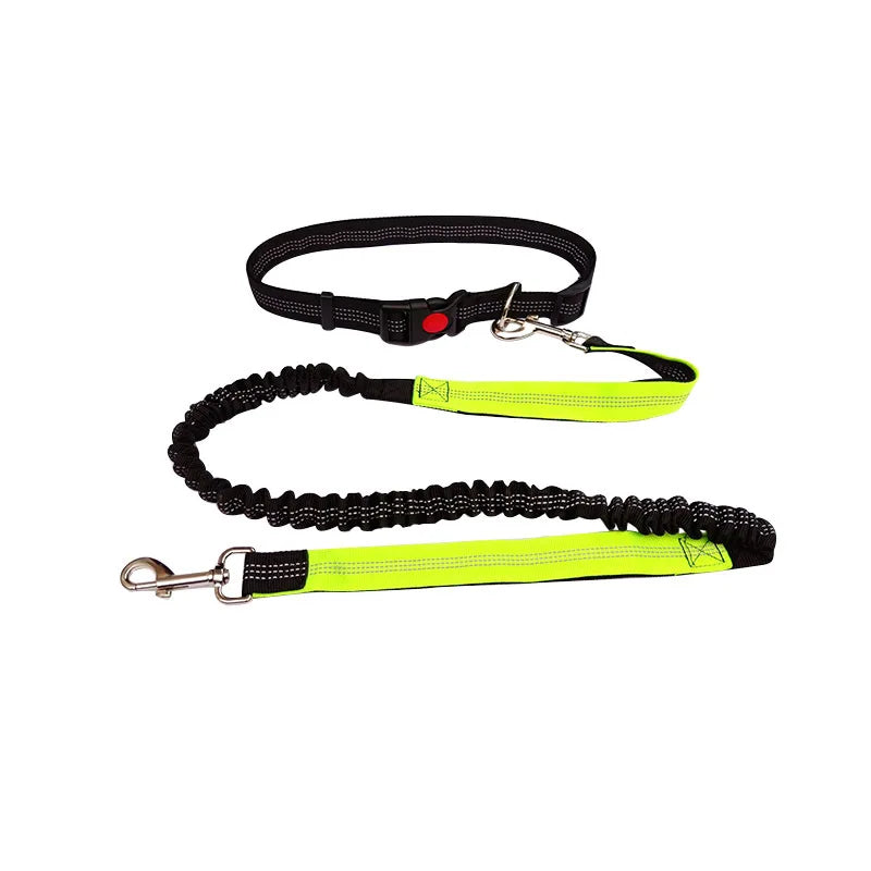 laisse pour courir nylon elastique mains libres reflechissante jaune
