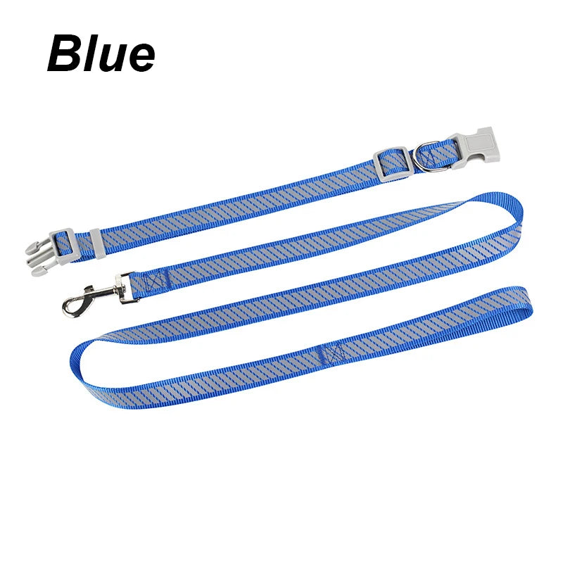 collier et laisse nylon reflechissante bleu