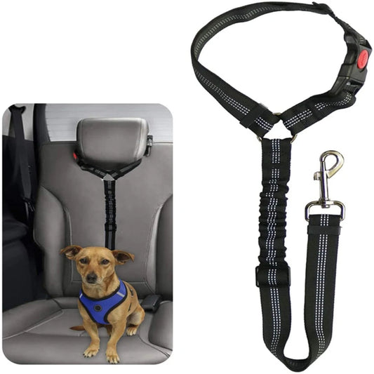 ceinture de securite elastique voiture