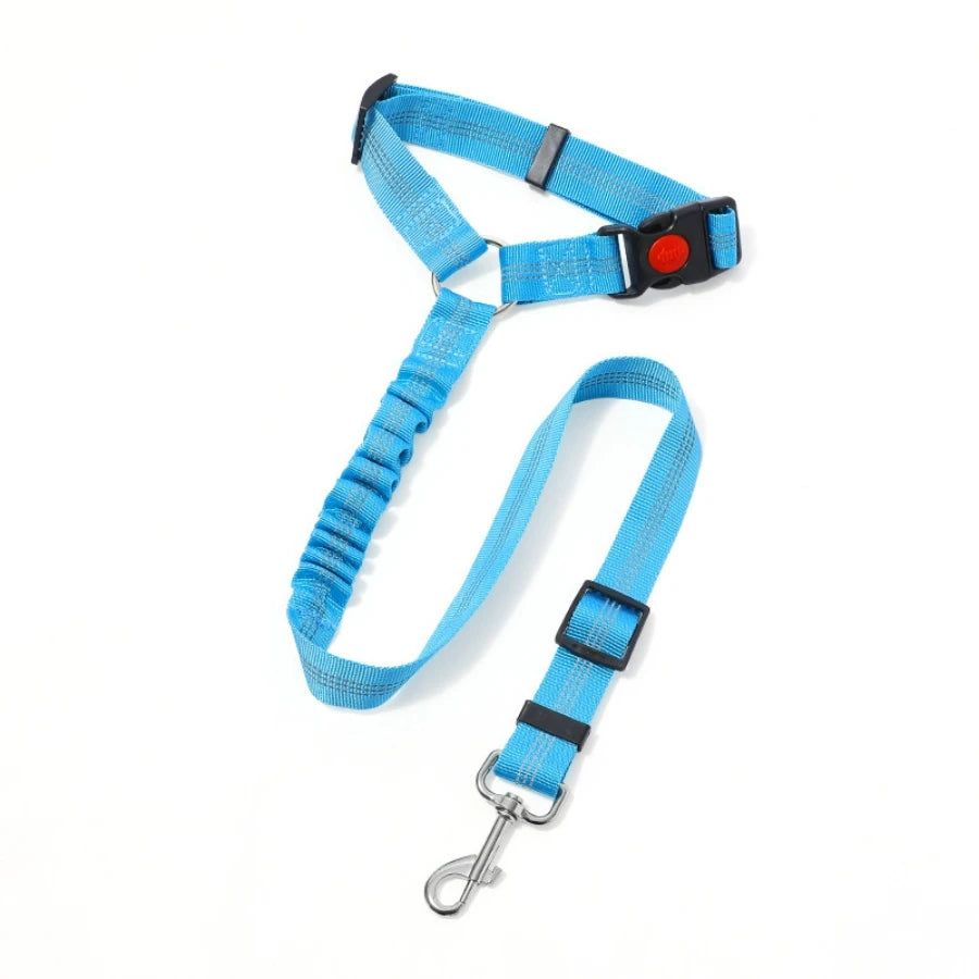 ceinture de securite elastique voiture bleu ciel