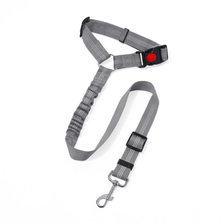 ceinture de securite elastique voiture gris