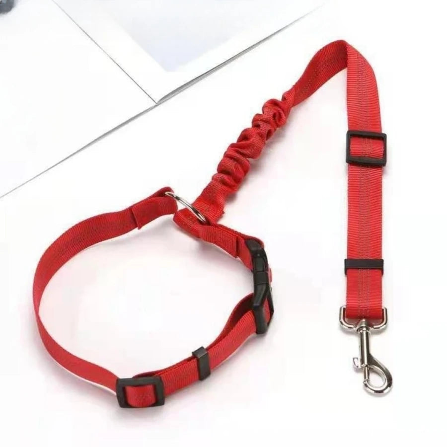 ceinture de securite elastique voiture rouge